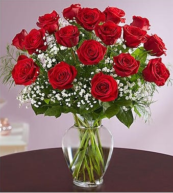 Deal of the Day - 12 Steam Long Red Roses